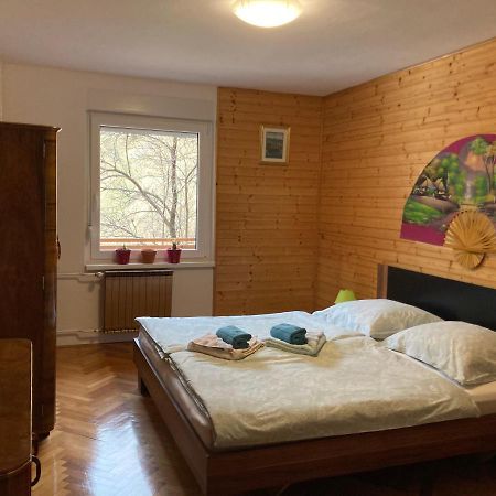 Apartment And Garden House Among The Mountains Podbrdo Buitenkant foto