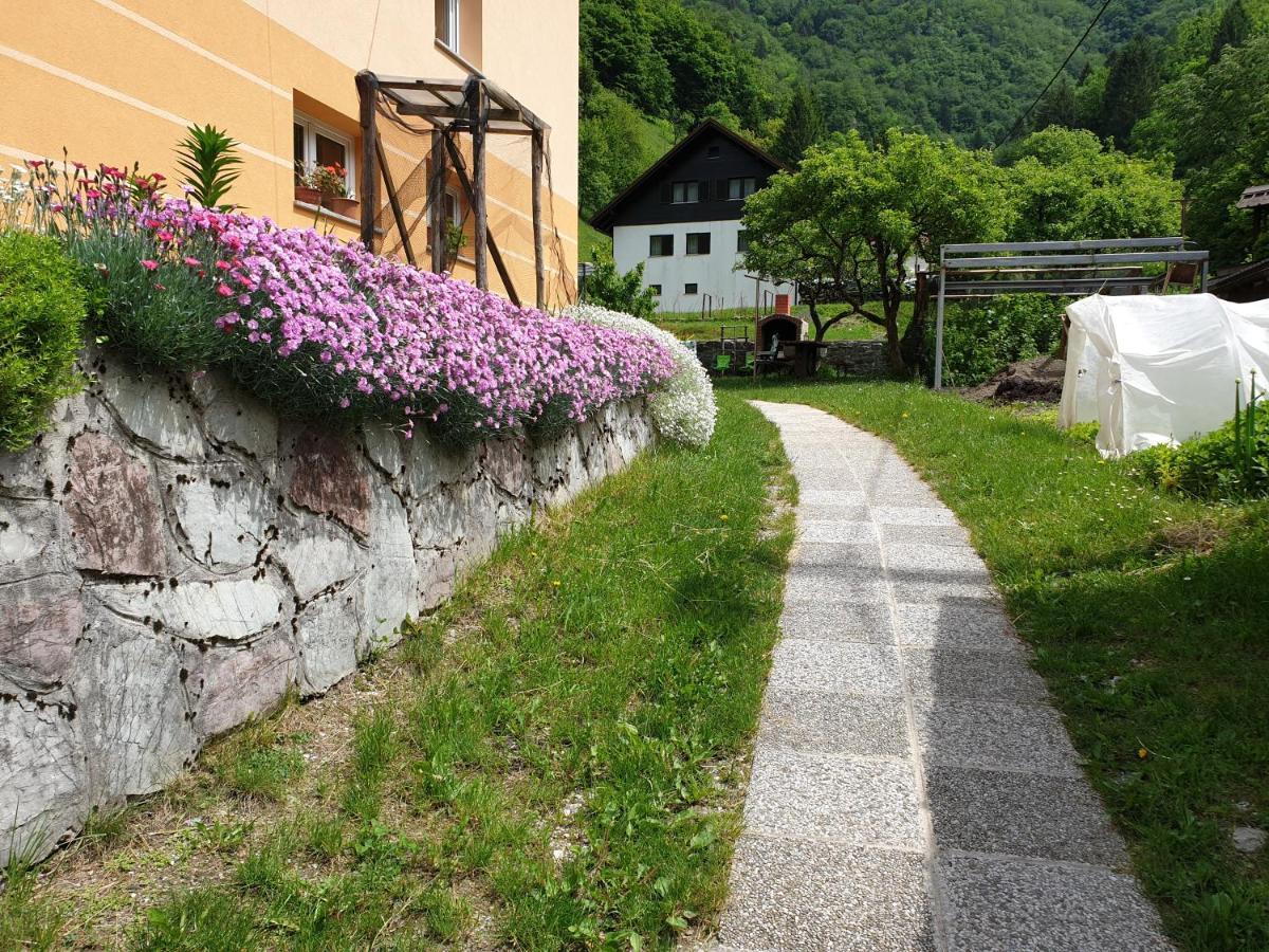 Apartment And Garden House Among The Mountains Podbrdo Buitenkant foto