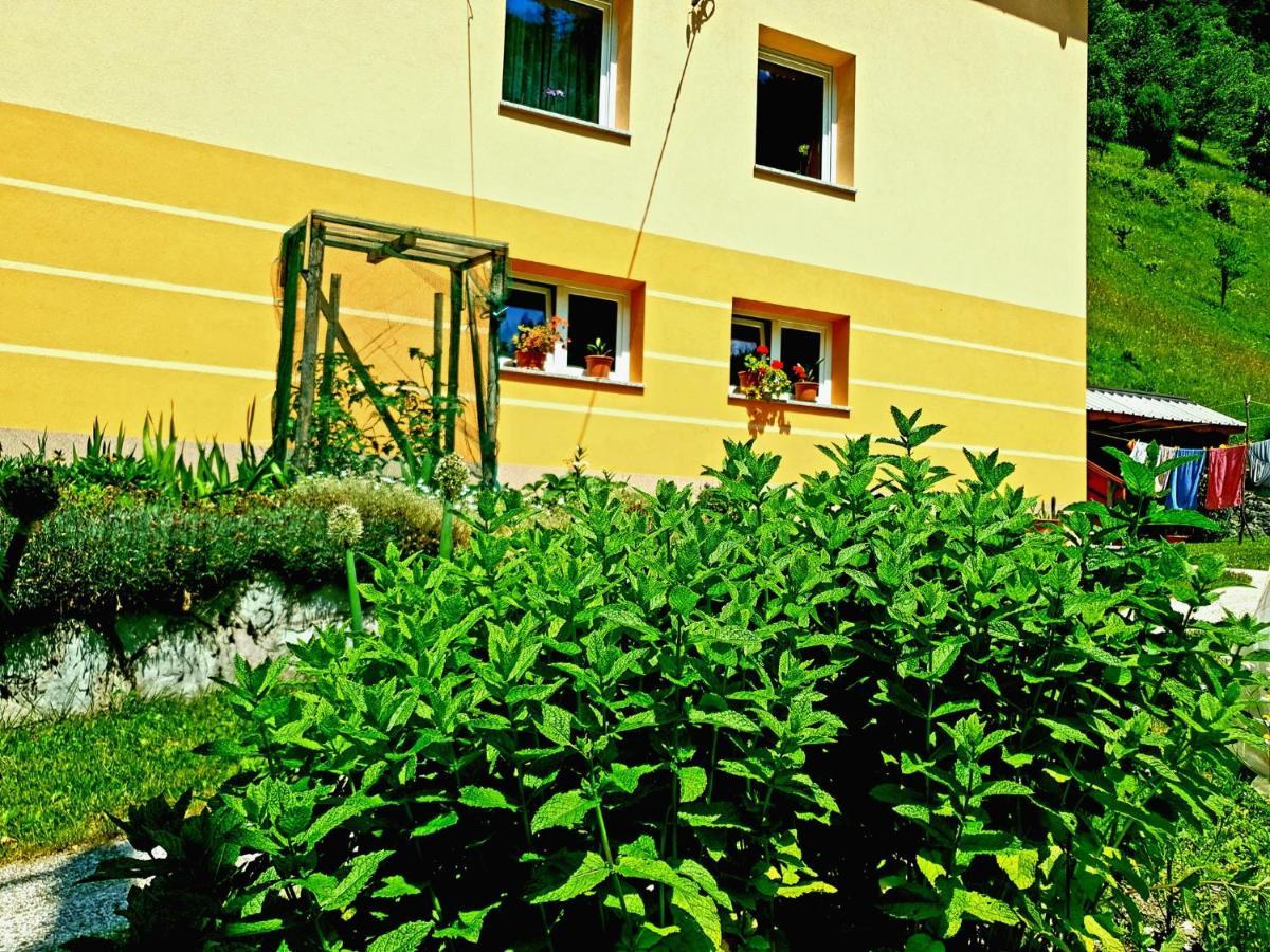 Apartment And Garden House Among The Mountains Podbrdo Buitenkant foto