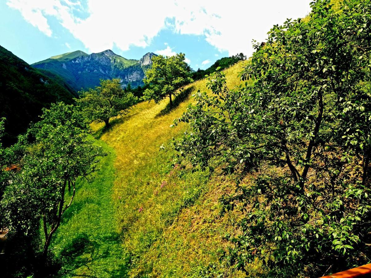 Apartment And Garden House Among The Mountains Podbrdo Buitenkant foto